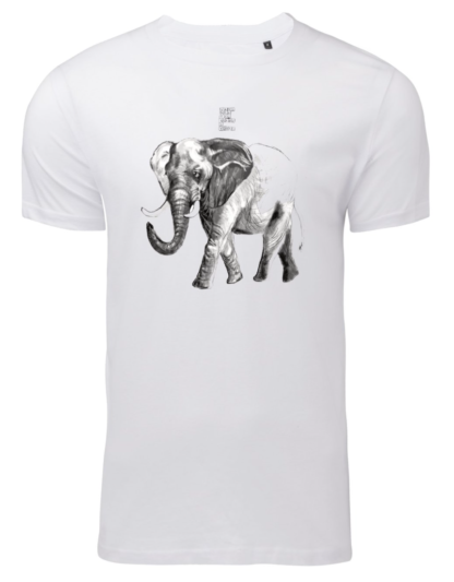 Elefante Africano
