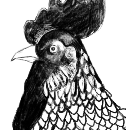 Gallo Temistocle - immagine 2