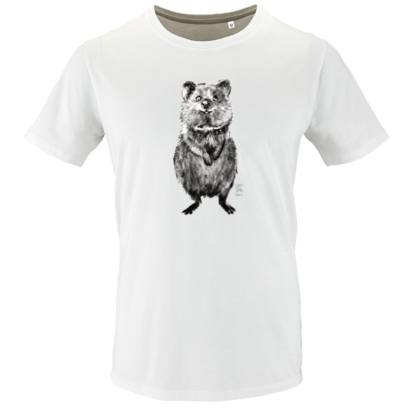 Quokka (Setonix brachyurus)