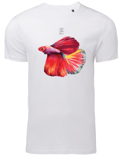 Pesce Betta Splendens